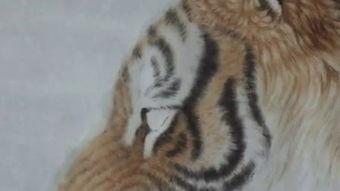 怎样画老虎视频,轻松绘制老虎的绘画步骤解析