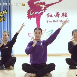 舞蹈考级娃娃舞蹈视频,萌动舞步，展现童真风采