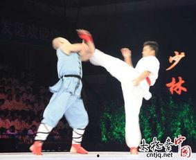 少林太极拳视频,一招一式诠释中华武术之魂