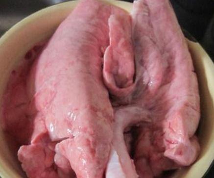 怎样清洗猪肺视频,轻松掌握清洁技巧